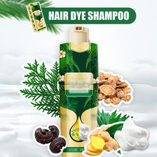 Load image into Gallery viewer, Plant Bubble Hair Dye Shampoo