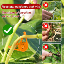Load image into Gallery viewer, Plant Bender Tools