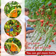 Load image into Gallery viewer, Plant Bender Tools