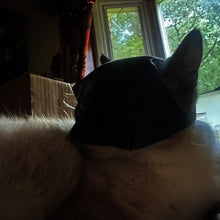 Load image into Gallery viewer, Bat Cat Avenger Mask