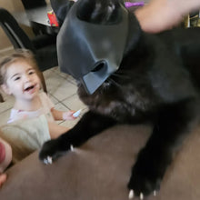 Load image into Gallery viewer, Bat Cat Avenger Mask