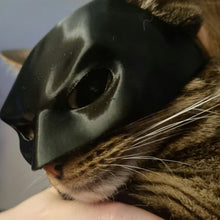 Load image into Gallery viewer, Bat Cat Avenger Mask