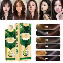 Load image into Gallery viewer, Plant Bubble Hair Dye Shampoo