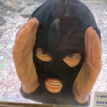 Load image into Gallery viewer, Scary Peeper Creeper