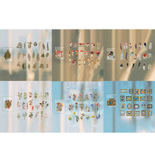 Load image into Gallery viewer, Memory Garden Series PET Stickers Set