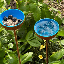 Load image into Gallery viewer, Rusty Rain Catchers Bird Feeder