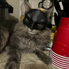Load image into Gallery viewer, Bat Cat Avenger Mask