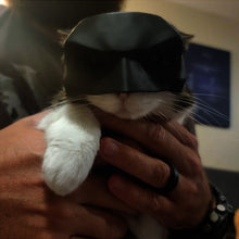 Load image into Gallery viewer, Bat Cat Avenger Mask
