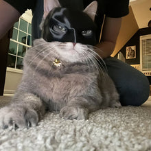 Load image into Gallery viewer, Bat Cat Avenger Mask