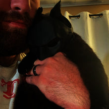 Load image into Gallery viewer, Bat Cat Avenger Mask