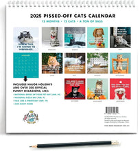 Load image into Gallery viewer, 2024 Pissed-Off Cats Calendar