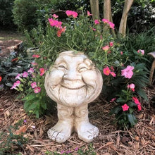 Load image into Gallery viewer, Funny Expression Flowerpot