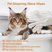 Load image into Gallery viewer, Pet Clean Wash-Free Gloves