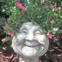 Load image into Gallery viewer, Funny Expression Flowerpot