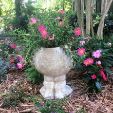 Load image into Gallery viewer, Funny Expression Flowerpot