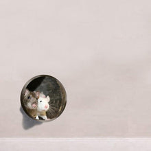 Load image into Gallery viewer, Realistic 3D Mouse Hole Wall Stickers