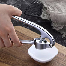 Load image into Gallery viewer, Stainless Steel Garlic Press