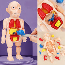 Load image into Gallery viewer, Children's Enlightenment Toys