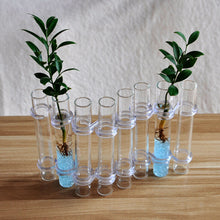 Load image into Gallery viewer, Hinged Flower Vase(6 pcs/8 pcs)
