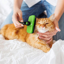 Load image into Gallery viewer, Self Cleaning Slicker Brush for Dogs Cats