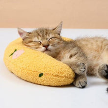 Load image into Gallery viewer, Cat Lovely Cozy Pillow