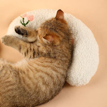 Load image into Gallery viewer, Cat Lovely Cozy Pillow
