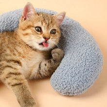 Load image into Gallery viewer, Cat Lovely Cozy Pillow