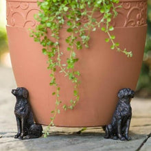 Load image into Gallery viewer, Fanshome Cute Animal Shaped Potty Feet (Set of 3)