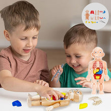 Load image into Gallery viewer, Children's Enlightenment Toys