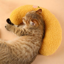 Load image into Gallery viewer, Cat Lovely Cozy Pillow
