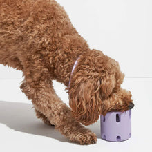 Load image into Gallery viewer, 🐶🐱Tennis Tumble Puzzle Toy
