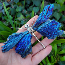 Load image into Gallery viewer, AURA TOURMALINE KYANITE DRAGONFLY