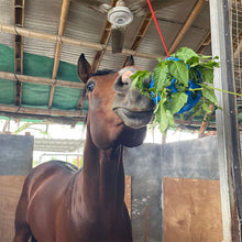 Load image into Gallery viewer, Horse Treat Ball