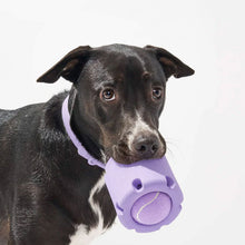 Load image into Gallery viewer, 🐶🐱Tennis Tumble Puzzle Toy