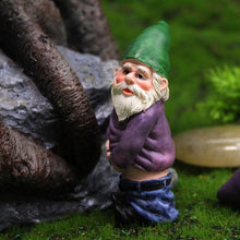 Load image into Gallery viewer, Garden dwarf ornaments