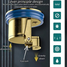 Load image into Gallery viewer, Downspout Universal Brass Floor Drain Core