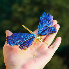 Load image into Gallery viewer, AURA TOURMALINE KYANITE DRAGONFLY