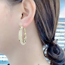 Load image into Gallery viewer, Withinhand Fashion Oval Earrings