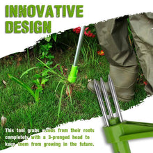 Load image into Gallery viewer, Standing Weed Puller