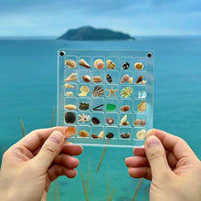 Load image into Gallery viewer, Acrylic Magnetic Seashell Display Box