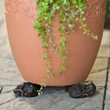 Load image into Gallery viewer, Fanshome Cute Animal Shaped Potty Feet (Set of 3)