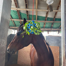 Load image into Gallery viewer, Horse Treat Ball