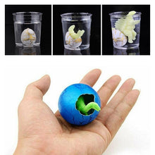 Load image into Gallery viewer, Magic Hatching Egg for Kids