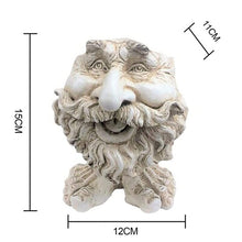 Load image into Gallery viewer, Funny Expression Flowerpot