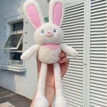 Load image into Gallery viewer, Pull The Rabbit