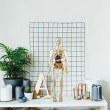 Load image into Gallery viewer, 🫀3d Human Body Torso Model for Kid Anatomy Model Skeleton🩺