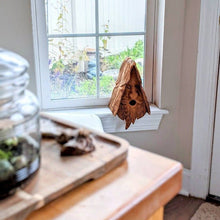 Load image into Gallery viewer, Unique Bird House