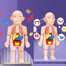 Load image into Gallery viewer, Children's Enlightenment Toys