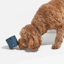 Load image into Gallery viewer, 🐶🐱Tennis Tumble Puzzle Toy