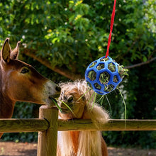 Load image into Gallery viewer, Horse Treat Ball